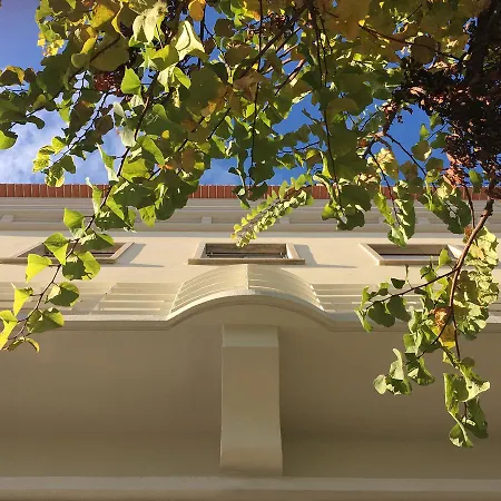 Casa 92 - Os Lugares De Castraleuca Castelo Branco (Centro)