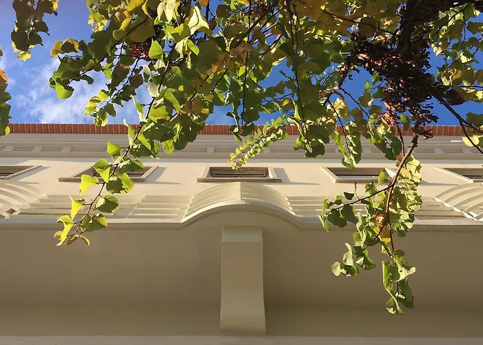 Casa 92 - Os Lugares De Castraleuca Castelo Branco (Centro)